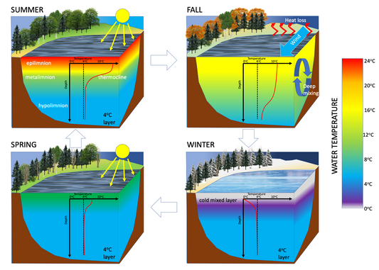 When it Gets Warmer, Your Pond Layers Up!