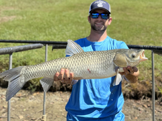 Employee holding an adult grass carp