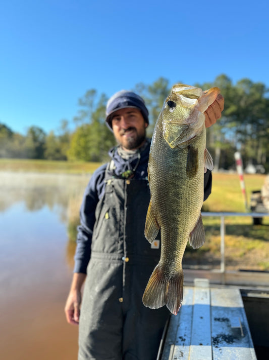 Electrofishing Coordinator holding a largemouth bass