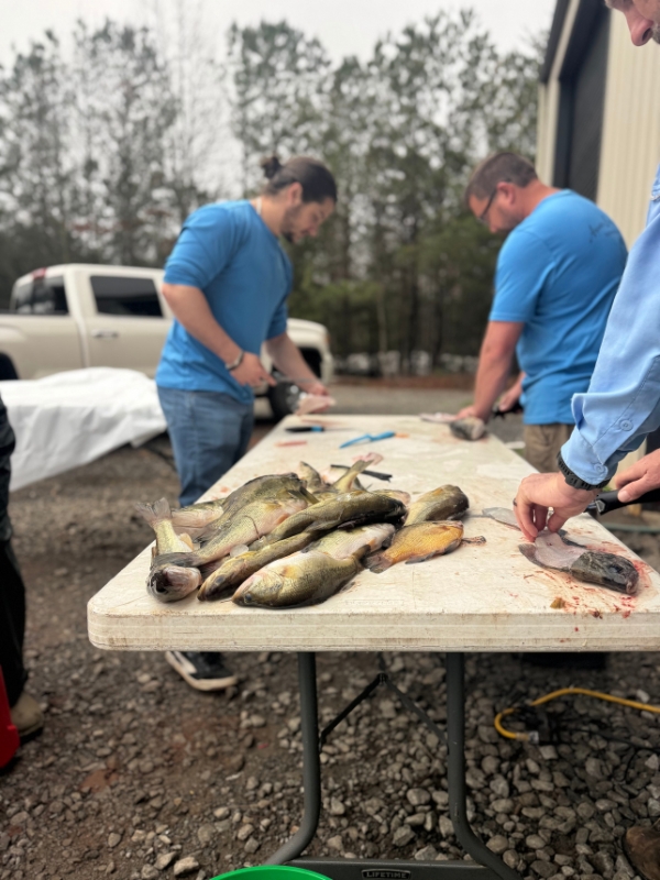 Preparing Fish Fillets for Community