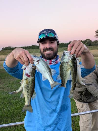 A biologist holds a large number of bass after an electrofishing survey where we will need to harvest bass.