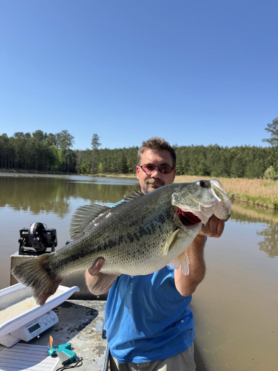 A biologist hold a large bass attained through rigorous harvest and lake management.