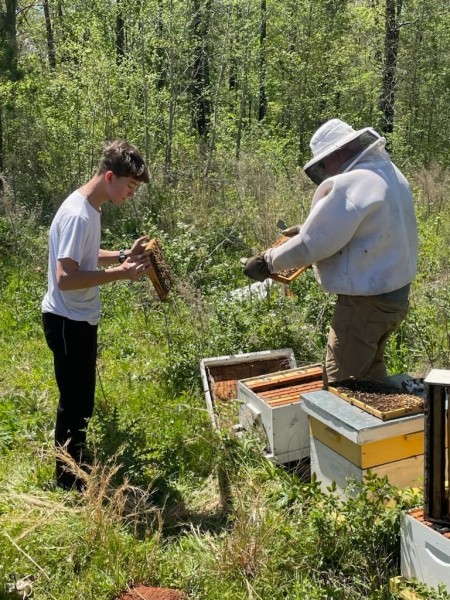 img  medium  img  medium