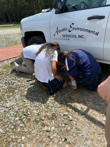 img  medium  img  medium